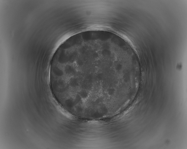 X0000091091227200708201450