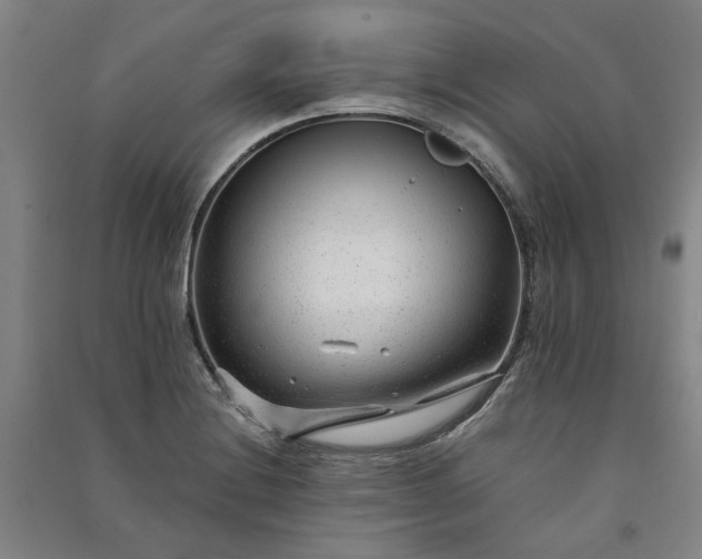 X0000091091228200708201450