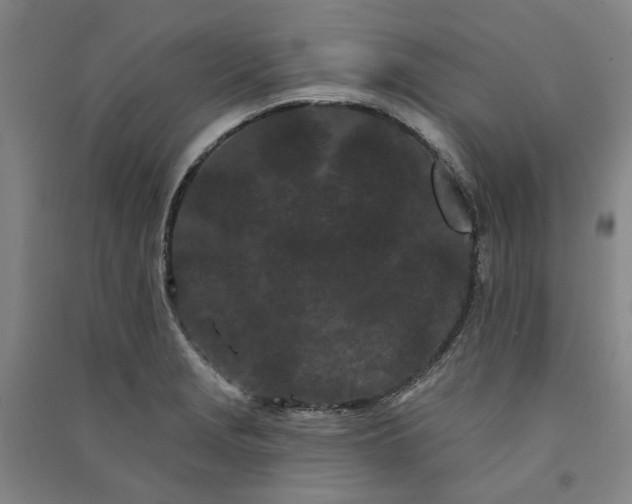 X0000091091229200708201450