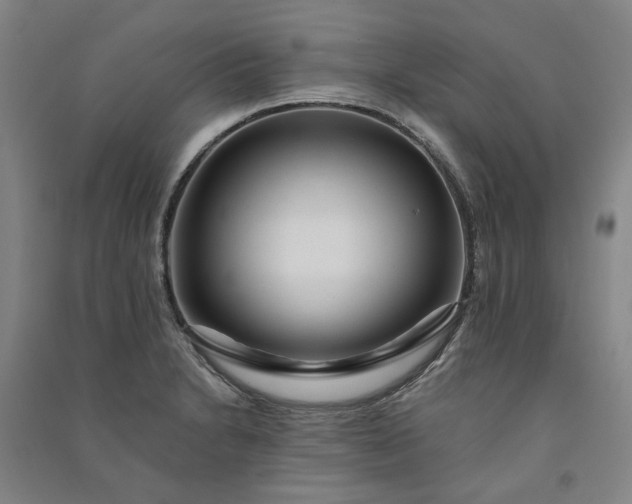 X0000091091230200708201450