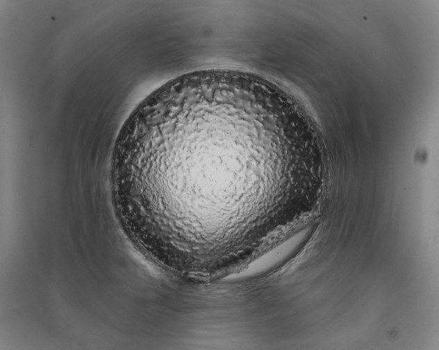 X0000091091231200708201450