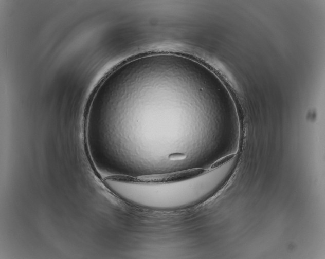X0000091091232200708201450