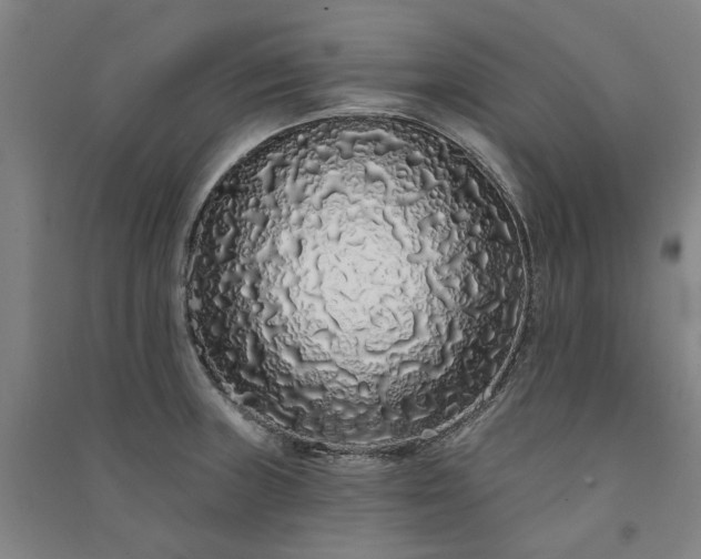 X0000091091235200708201450