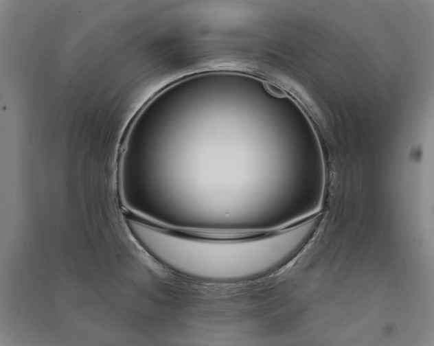 X0000091091236200708201450