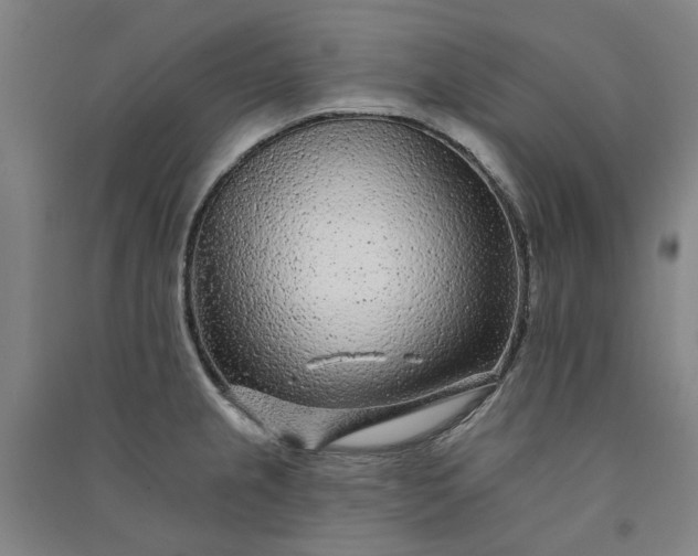X0000091091237200708201450
