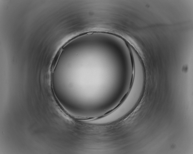 X0000091091238200708201450
