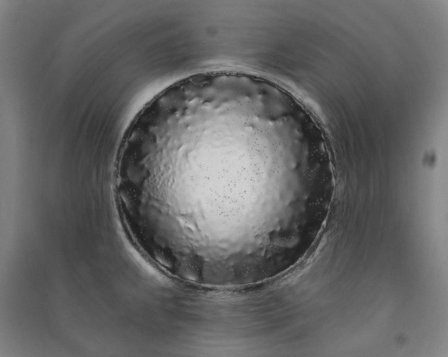 X0000091091239200708201450