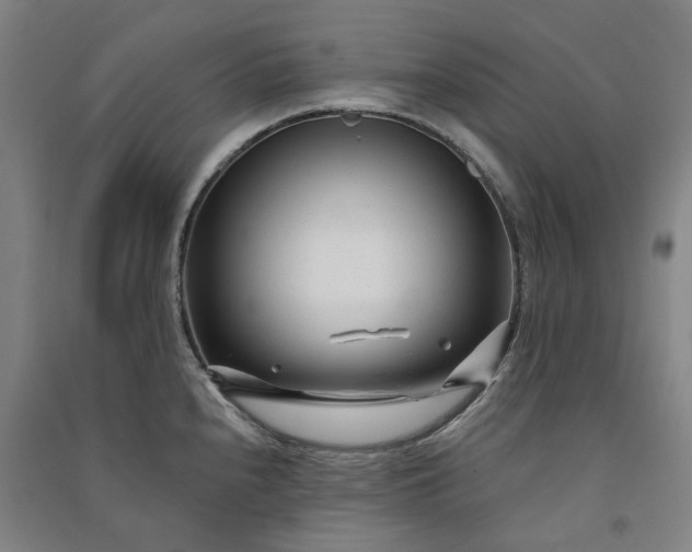 X0000091091240200708201450