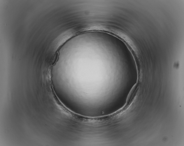 X0000091091241200708201450