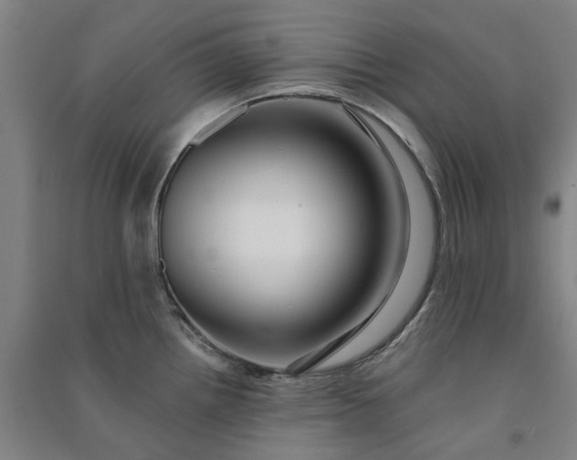 X0000091091242200708201450