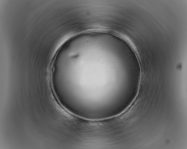 X0000091091243200708201450