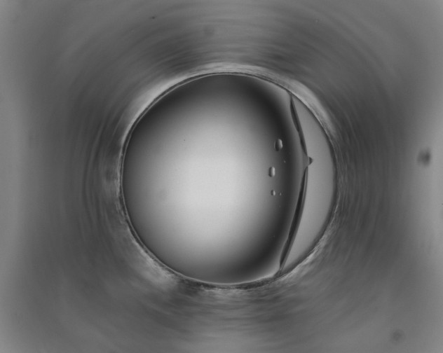 X0000091091244200708201450
