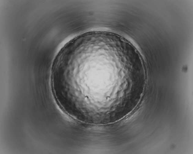 X0000091091245200708201450