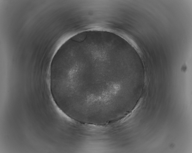 X0000091091247200708201450