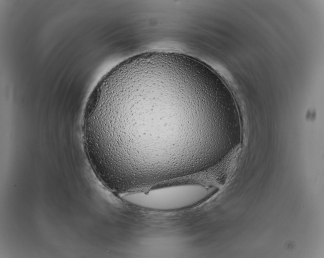X0000091091248200708201450