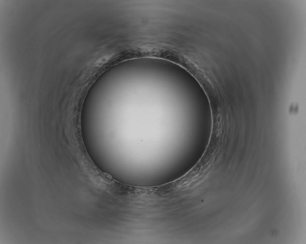 X0000091091249200708201449