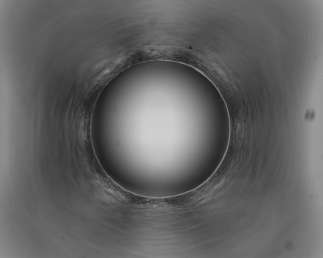 X0000091091250200708201449
