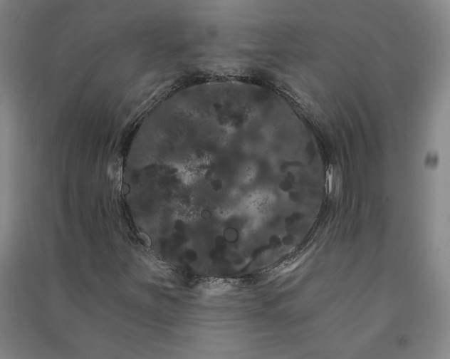 X0000091091251200708201449
