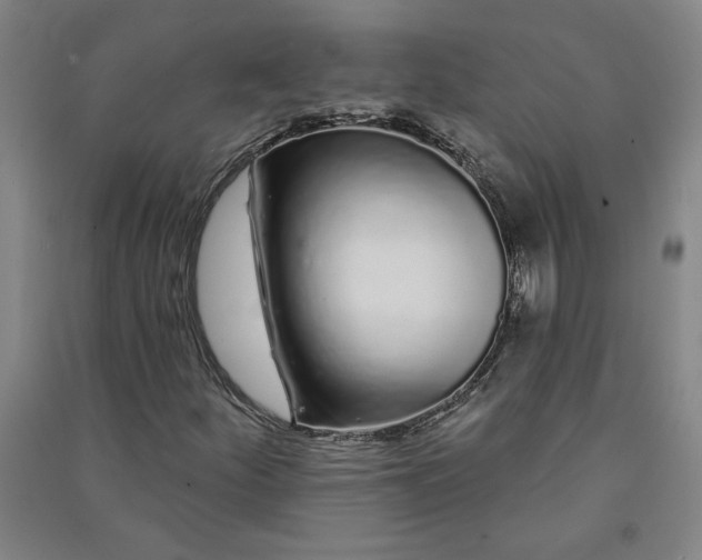 X0000091091252200708201449