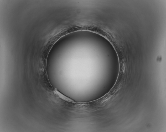X0000091091253200708201449