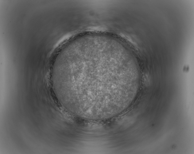 X0000091091254200708201449