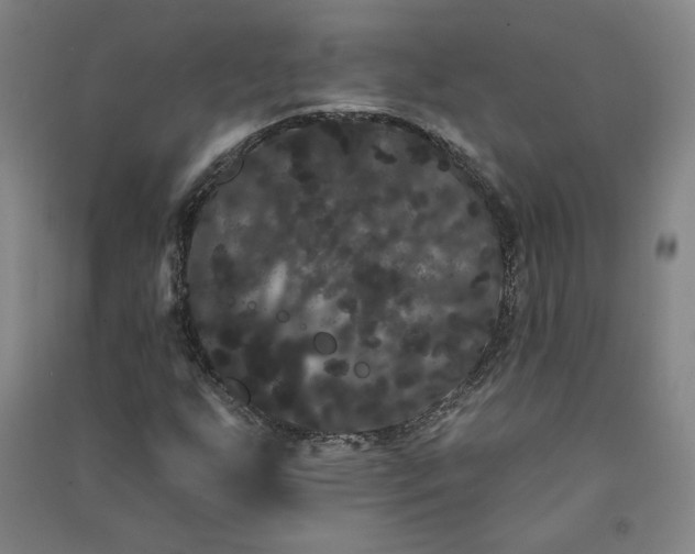 X0000091091255200708201449