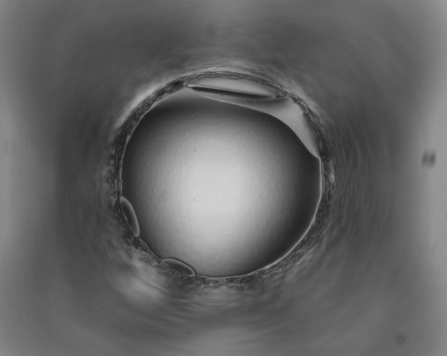 X0000091091256200708201449