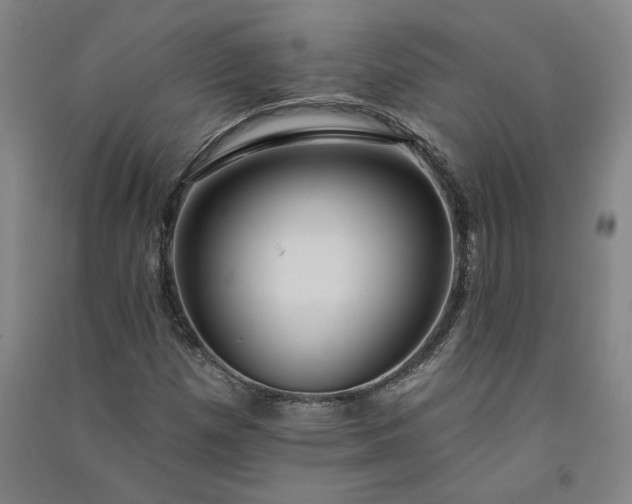 X0000091091257200708201449