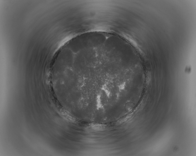 X0000091091258200708201449