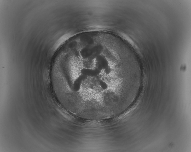 X0000091091259200708201449