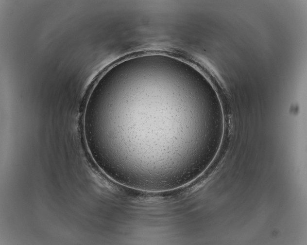X0000091091260200708201449