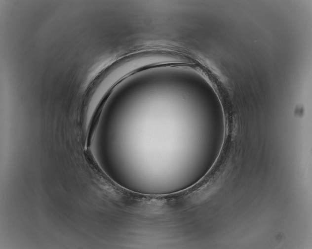 X0000091091261200708201449