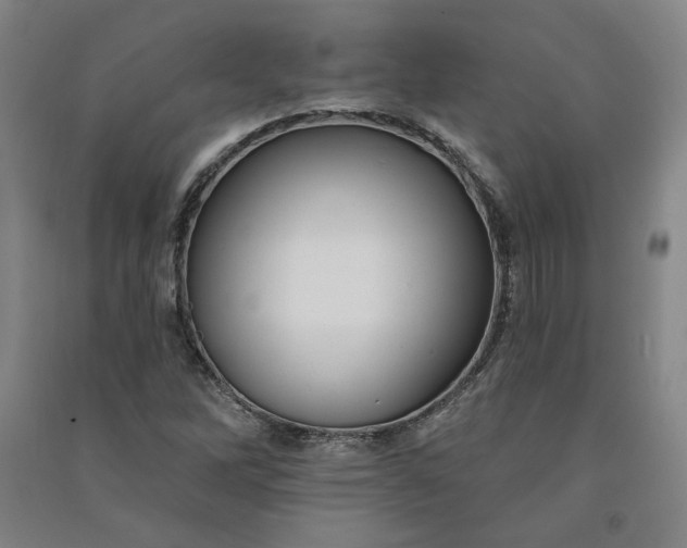 X0000091091262200708201449