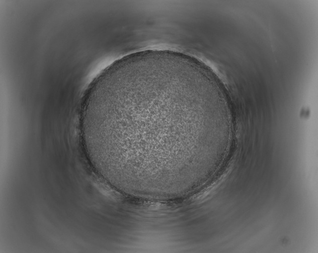 X0000091091263200708201449
