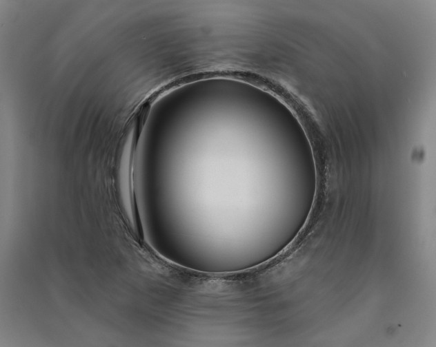 X0000091091265200708201449