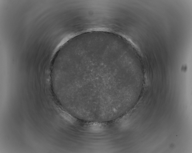 X0000091091266200708201449