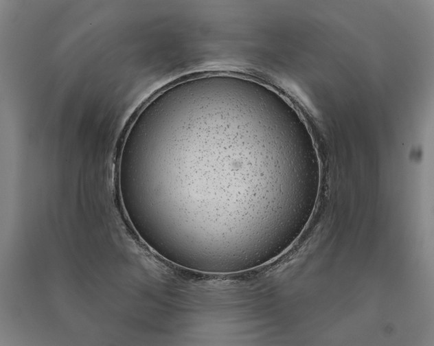 X0000091091268200708201449