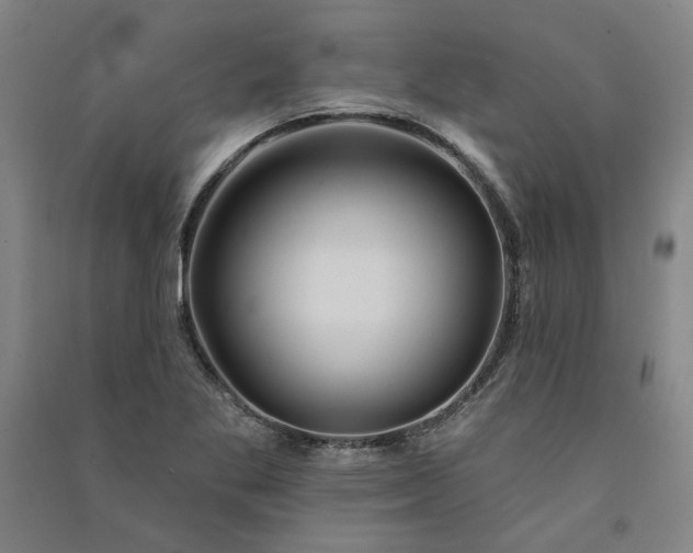 X0000091091269200708201449