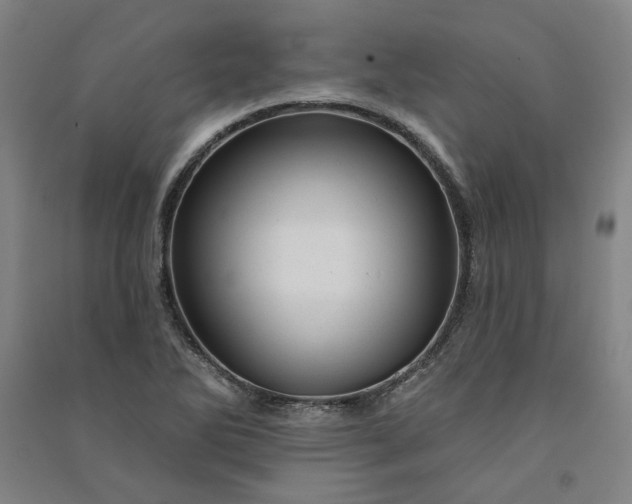 X0000091091270200708201449