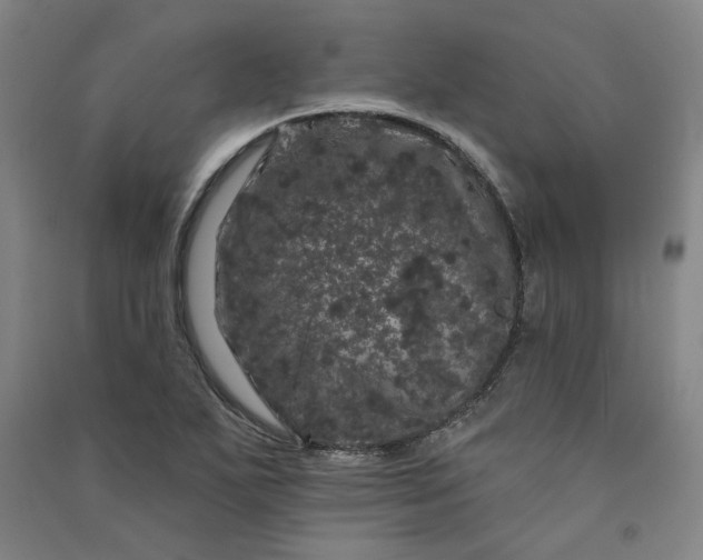 X0000091091271200708201449
