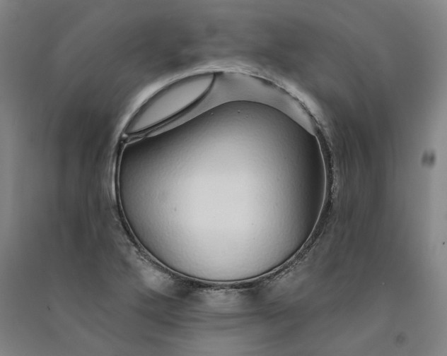 X0000091091272200708201449