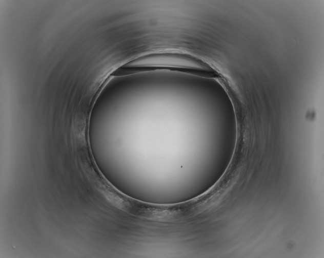 X0000091091273200708201449