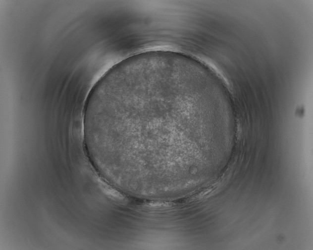 X0000091091274200708201449