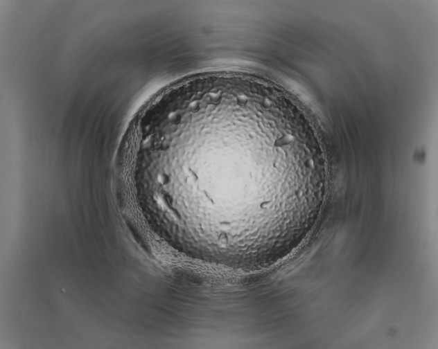 X0000091091275200708201449