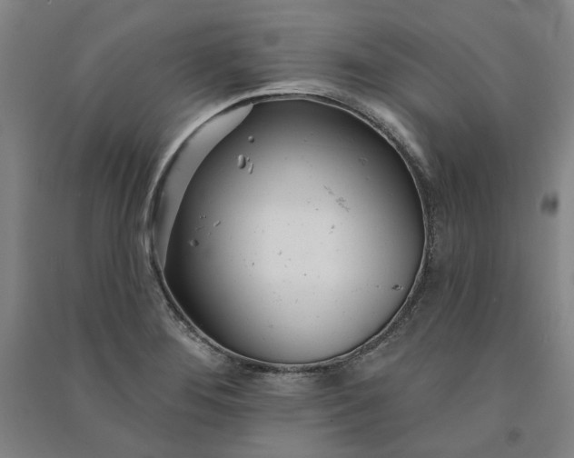 X0000091091276200708201449