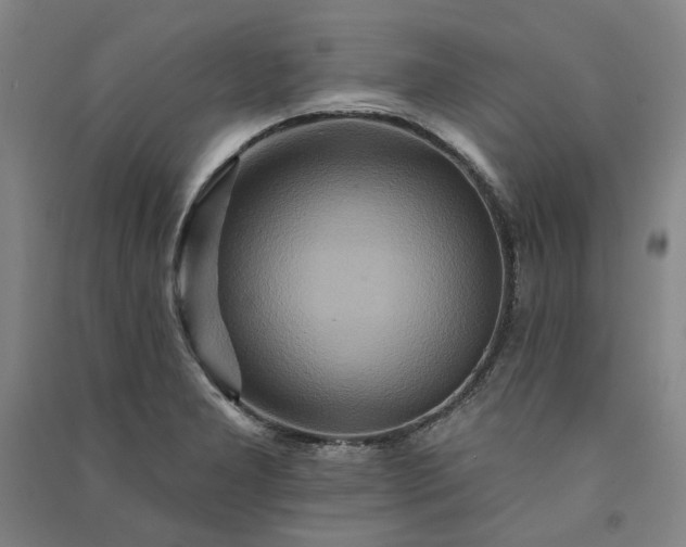 X0000091091277200708201449