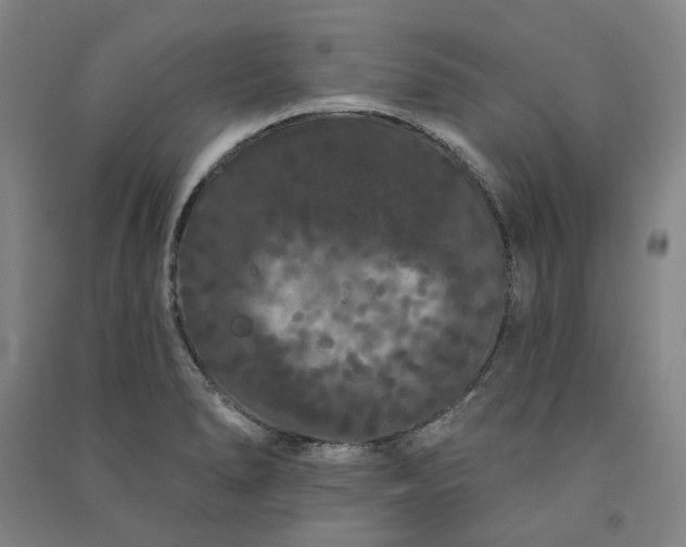 X0000091091278200708201449