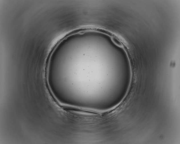 X0000091091279200708201449
