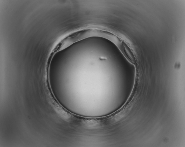 X0000091091280200708201449