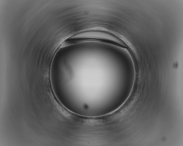 X0000091091281200708201449